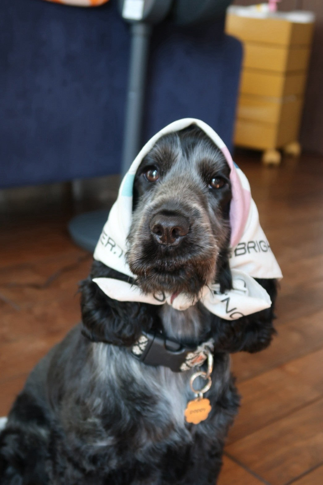 "SPICE LOVER" bandanna