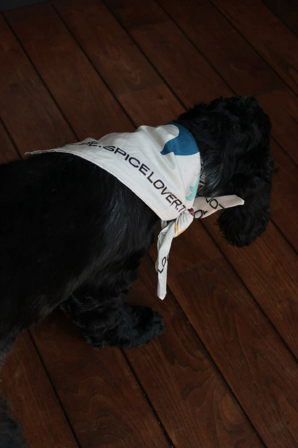 "SPICE LOVER" bandanna